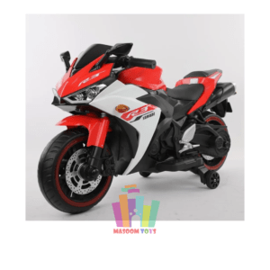 R8HR BMW Electronic Bike